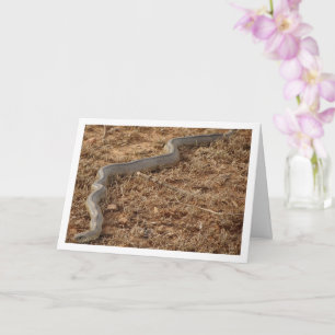 Cartão Cobra para Escada