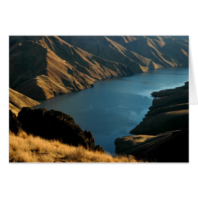 Cartão COBRA SILENCIADO: Rio de dezembro (Frente Horizontal)