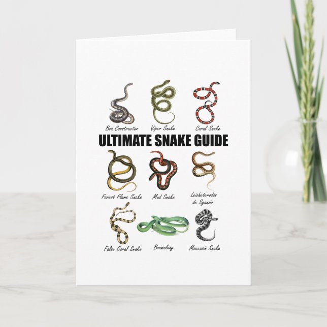 Cartão Cobras Crianças Educacional Serpente Zookeeper Rép (Frente)