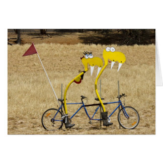 Cartão Cobras Tandem