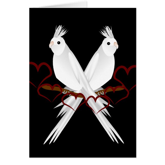 Cartão Cocatiels (Frente)