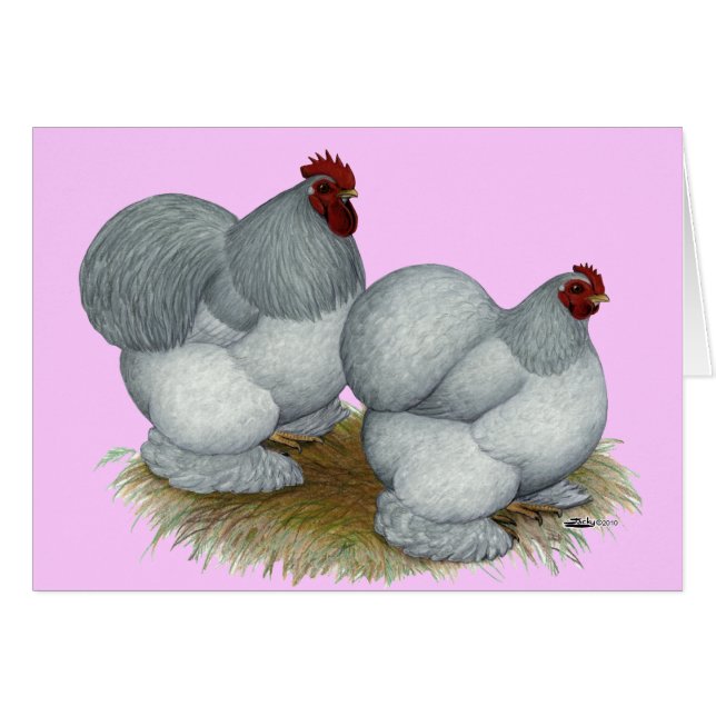 Cartão Cochin: Azul-próprio (Frente horizontal)