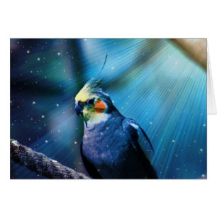 Cartão Cockatiel