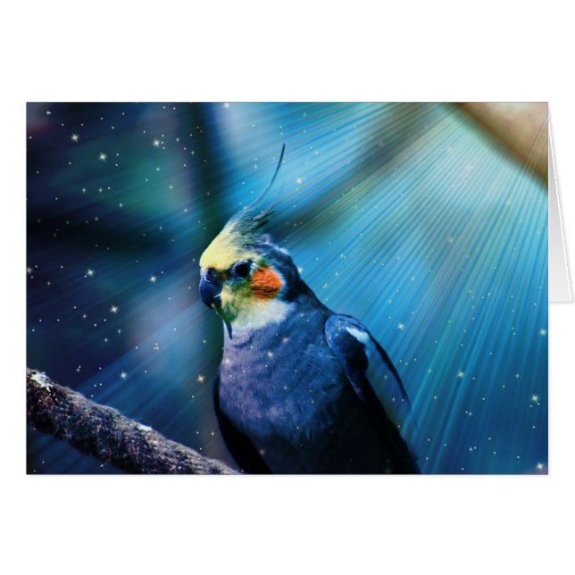 Cartão Cockatiel (Frente Horizontal)