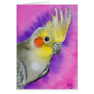 Cartão Cockatiel do disco
