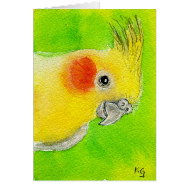 Cartão Cockatiel do peekaboo (Frente)