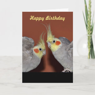 Cartão Cockatiel Duo Birthday Card (Customise Message)
