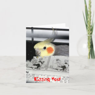Cartão Cockatiel-Faltante você