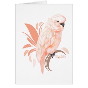 Cartão Cockatoo Molucano