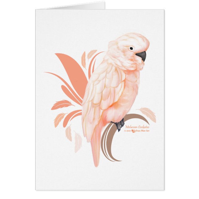 Cartão Cockatoo Molucano (Frente)