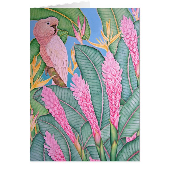 Cartão Cockatoo molucano (Frente)
