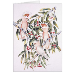 Cartão Cockatoos principais de Mitchell