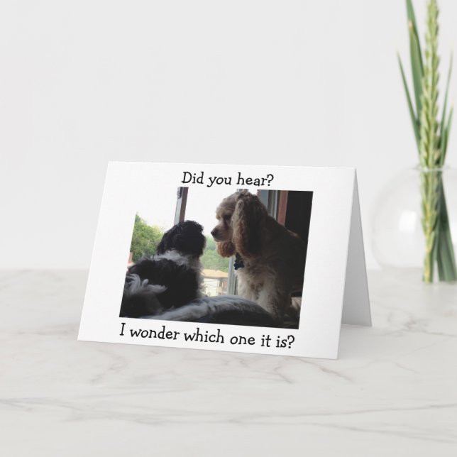 CARTÃO COCKER / HAVANESE DIZ QUE ANIVERSÁRIO É? (Frente)