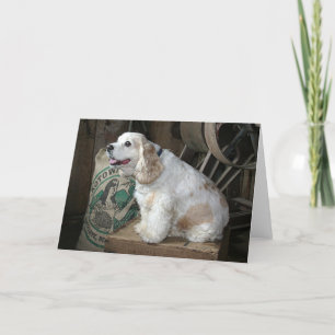 Cartão Cocker Spaniel