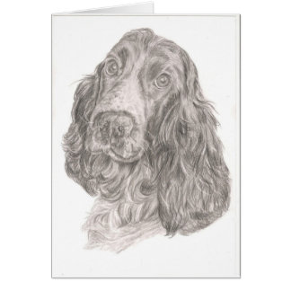 Cartão Cocker spaniel