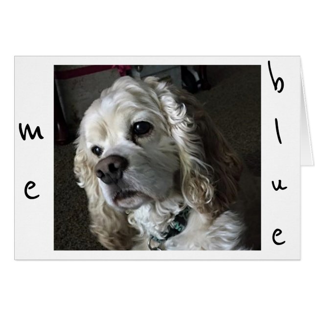 CARTÃO COCKER SPANIEL É "AZUL" SEM "VOCÊ" (Frente Horizontal)