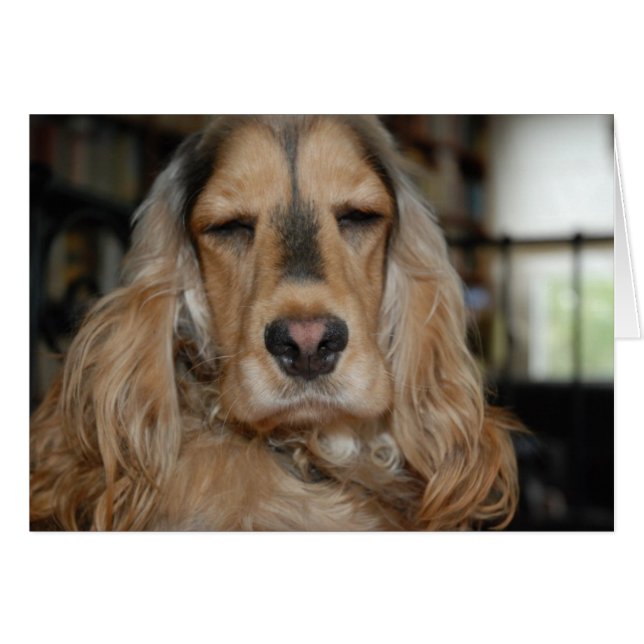 Cartão Cocker Spaniel Sushi (Frente Horizontal)