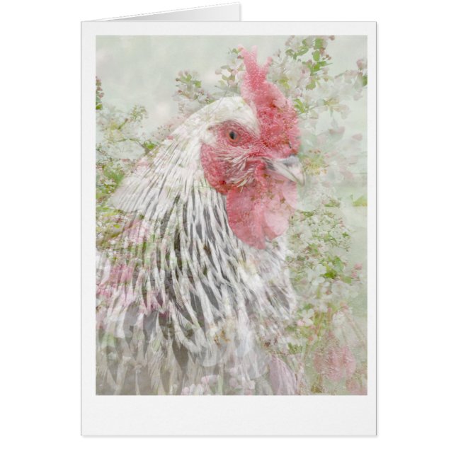 Cartão Cockeral nas flores (Frente)