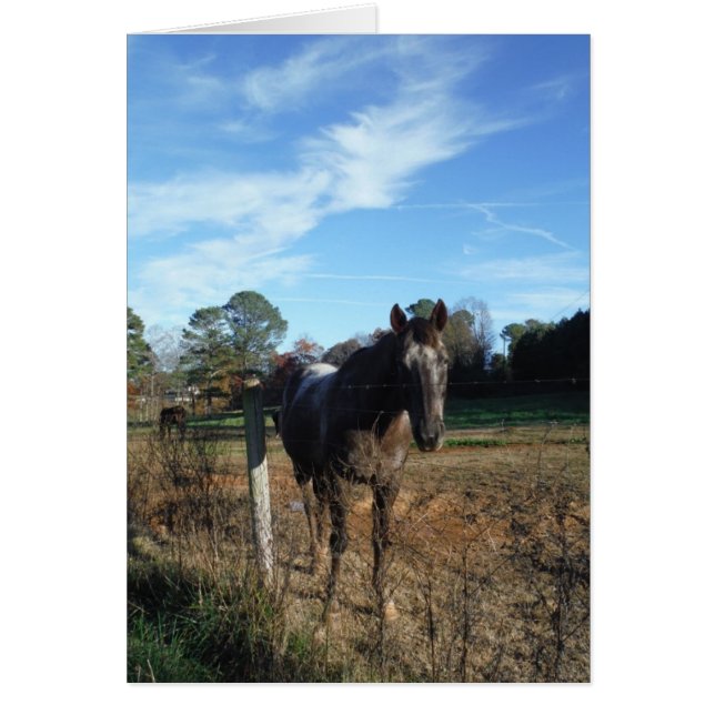 Cartão Coco e cavalo castanho creme (Frente)