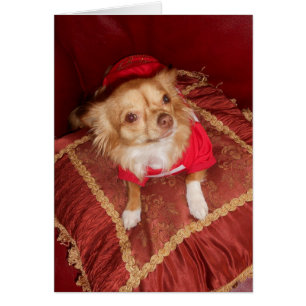 Cartão Cocos surpreendentes