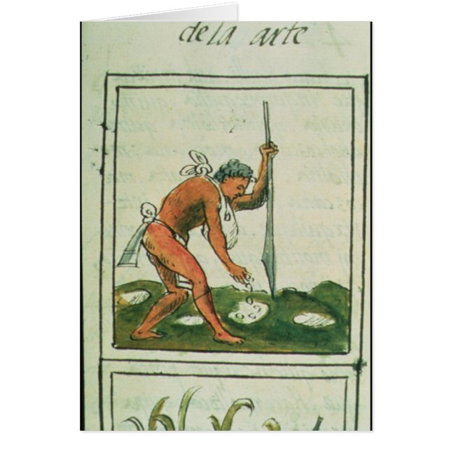 Cartão Codex florentino por Bernardino de Sahagun (Frente)