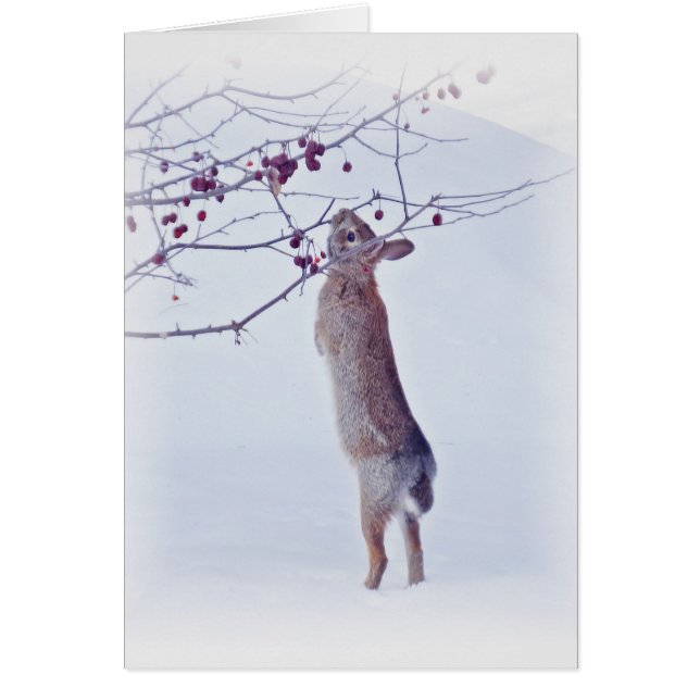 Cartão Coelhinho de maçã - Coelho (Frente)