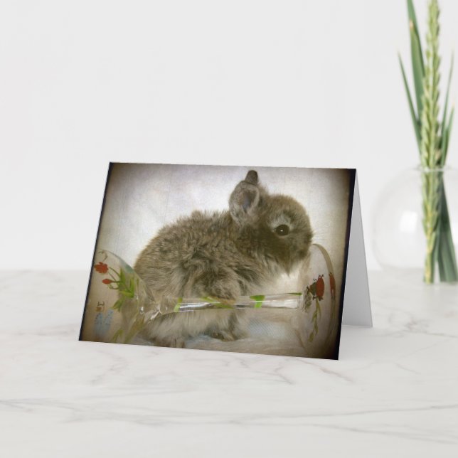 Cartão Coelhinho e Vidro (Frente)