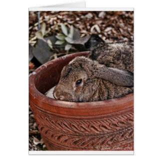 Cartão coelho