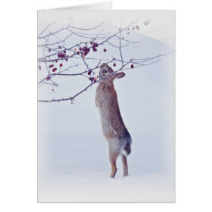 Cartão Coelho de Crabapple - coelho