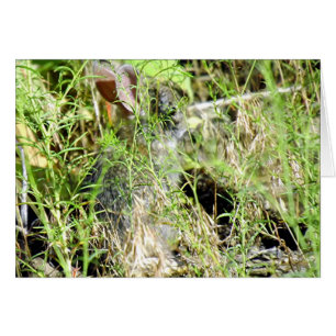 Cartão Coelho do bebê