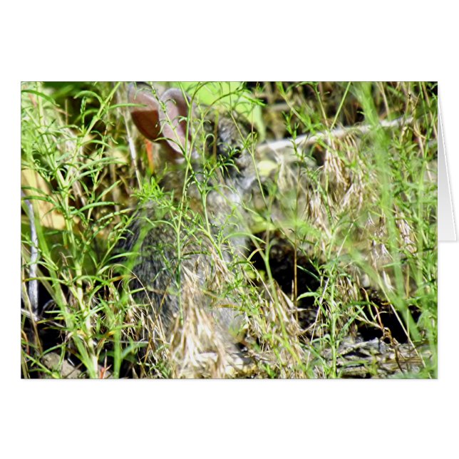 Cartão Coelho do bebê (Frente horizontal)