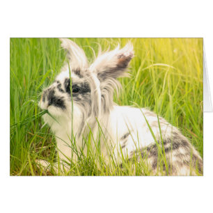 Cartão Coelho preto e branco