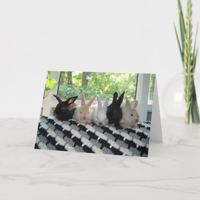 Cartão Coelhos (Frente)