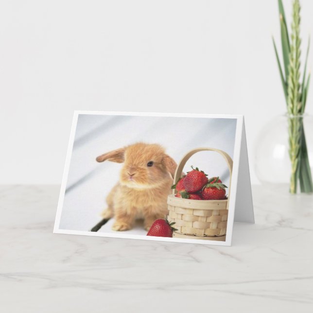 Cartão Coelhos e morangos (Frente)