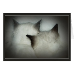 Cartão cofre forte & som