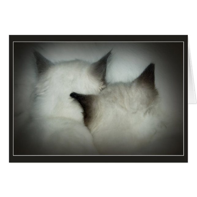 Cartão cofre forte & som (Frente Horizontal)