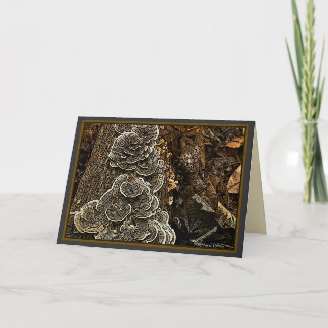 Cartão cogumelos (Frente)