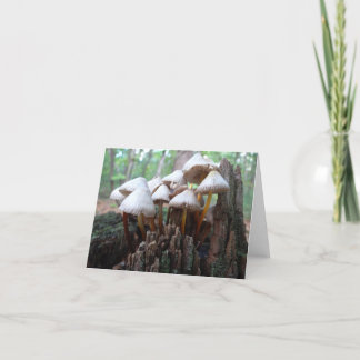 Cartão Cogumelos em um coto velho Notecard