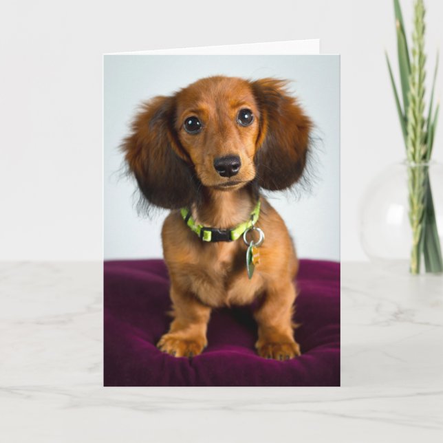 Cartão Coisa curta (Frente)