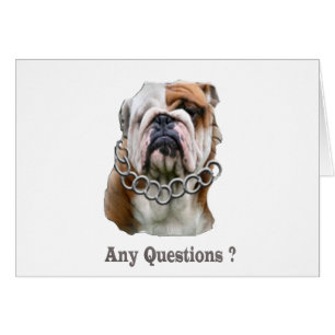 Cartão coisas engraçadas para cães