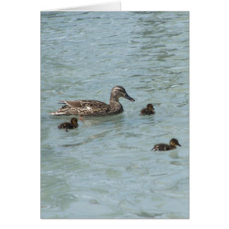 Cartão Coisas Que Flutuam