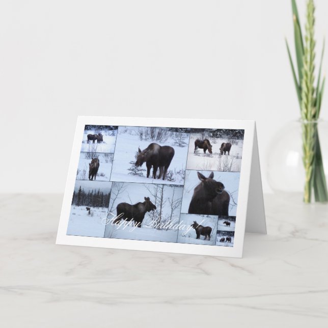 Cartão Colagem de Alce; Parabéns (Frente)