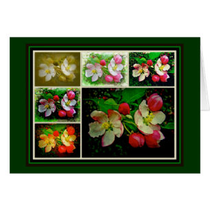 Cartão Colagem de Flores de Maçã - Foto Digital Avança