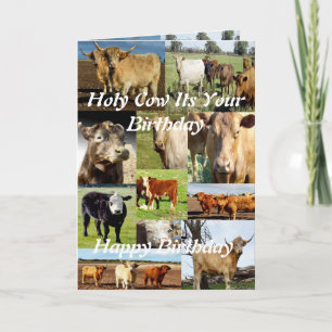 Cartão Colagem de Fotos de Vaca, Aniversário