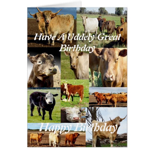 Cartão Colagem de Fotos em Vaca, Aniversário do Excelente (Frente)