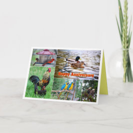 Cartão Colagem de Pares de Pássaros Feliz Aniversário