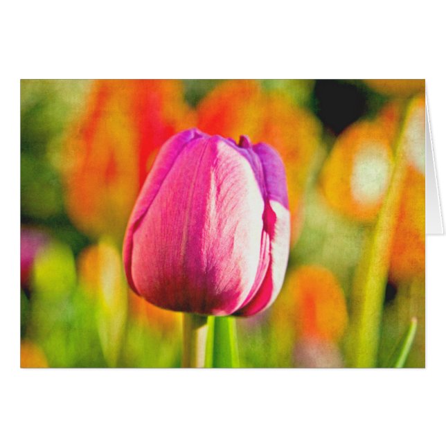 Cartão Colagem de Tulip (Frente horizontal)