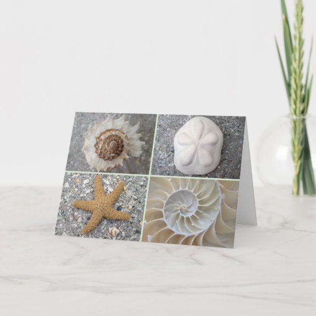Cartão Colagem do Seashell (Frente)
