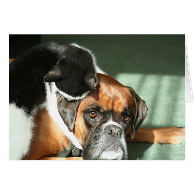 Cartão Colar de Gato (Frente Horizontal)