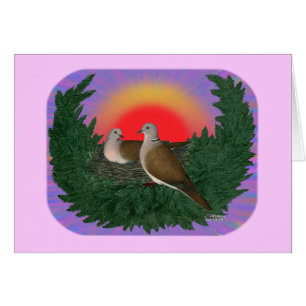 Cartão Colchões de ninho